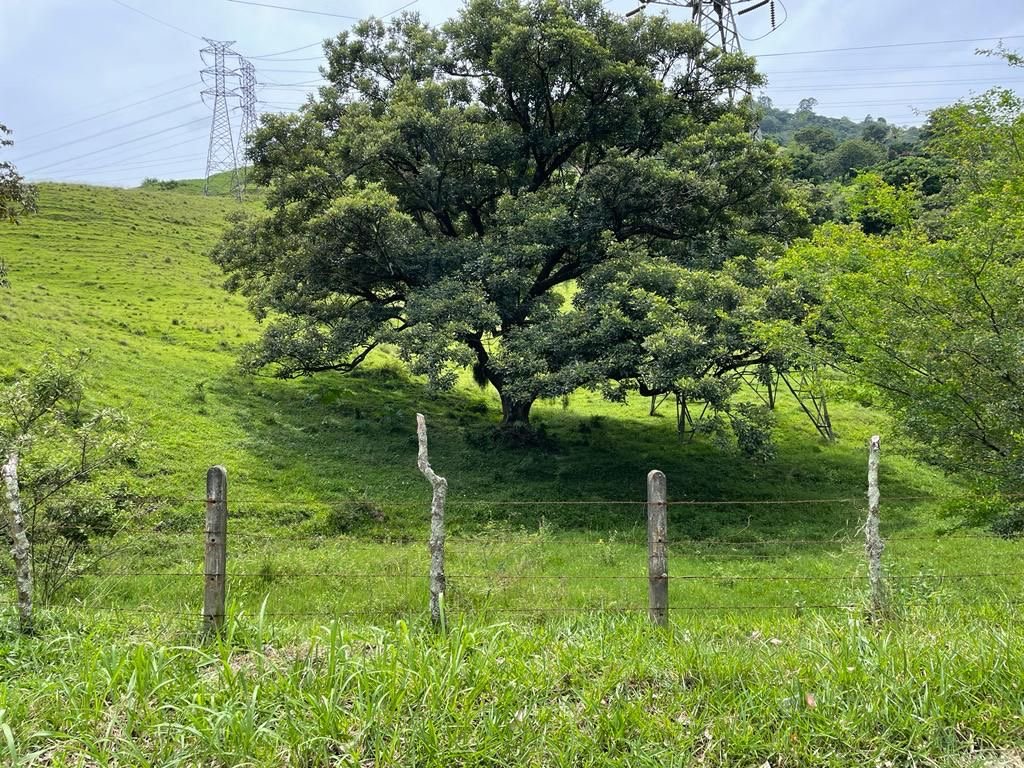 Gran lote a disponible en Venta para desarrollo inmobiliario en Girardota  — 8