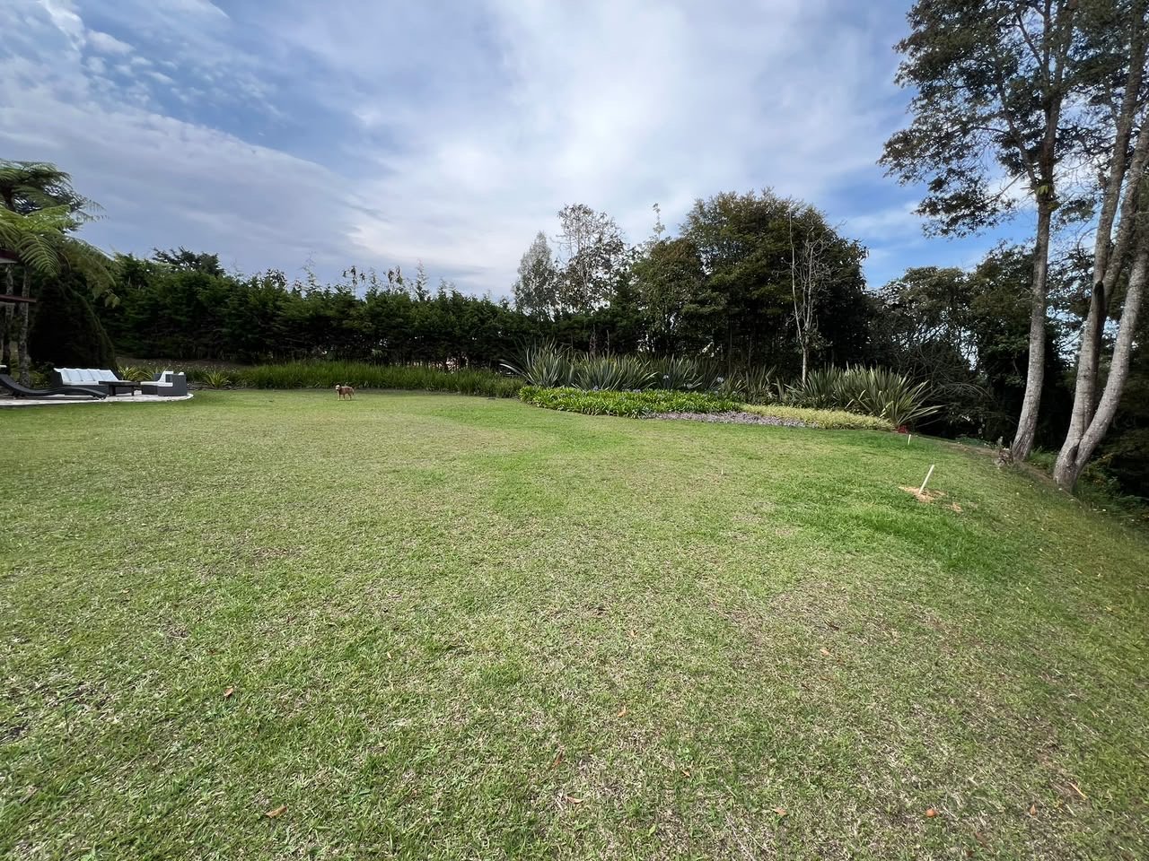 Exclusiva Casa en Renta y venta en el corredor de las palmas  — 22