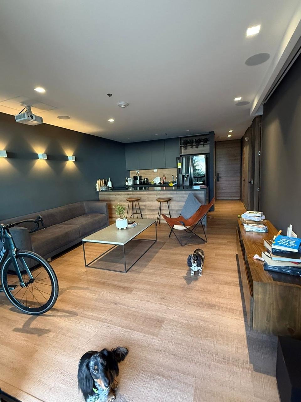 Las palmas (Olive) - Image 9