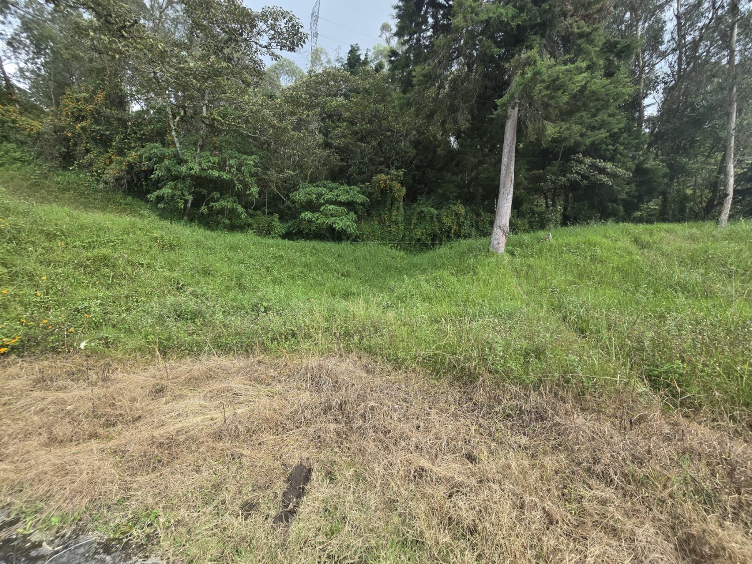 Exclusivo lote en venta en el poblado con Vista Panorámica  - Image 4