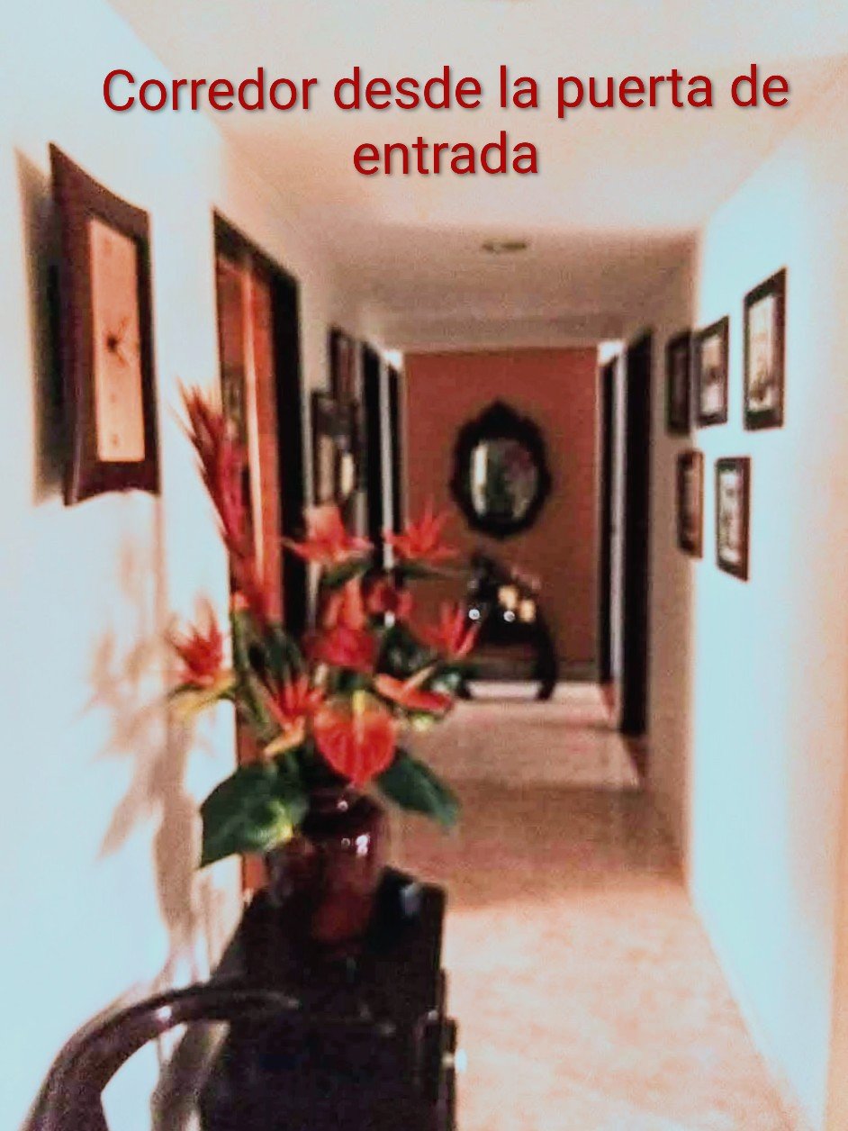 APARTAMENTO LIMONAR COLPATRIA  - Image 2