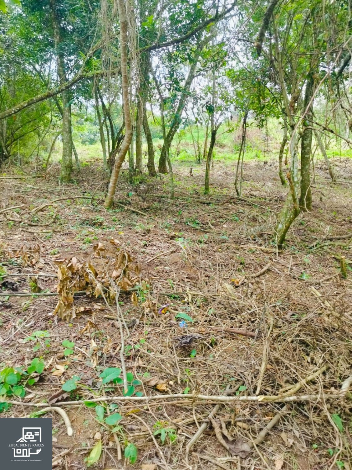 Terreno en Tlalnelhuayocan, Veracruz - Image 6