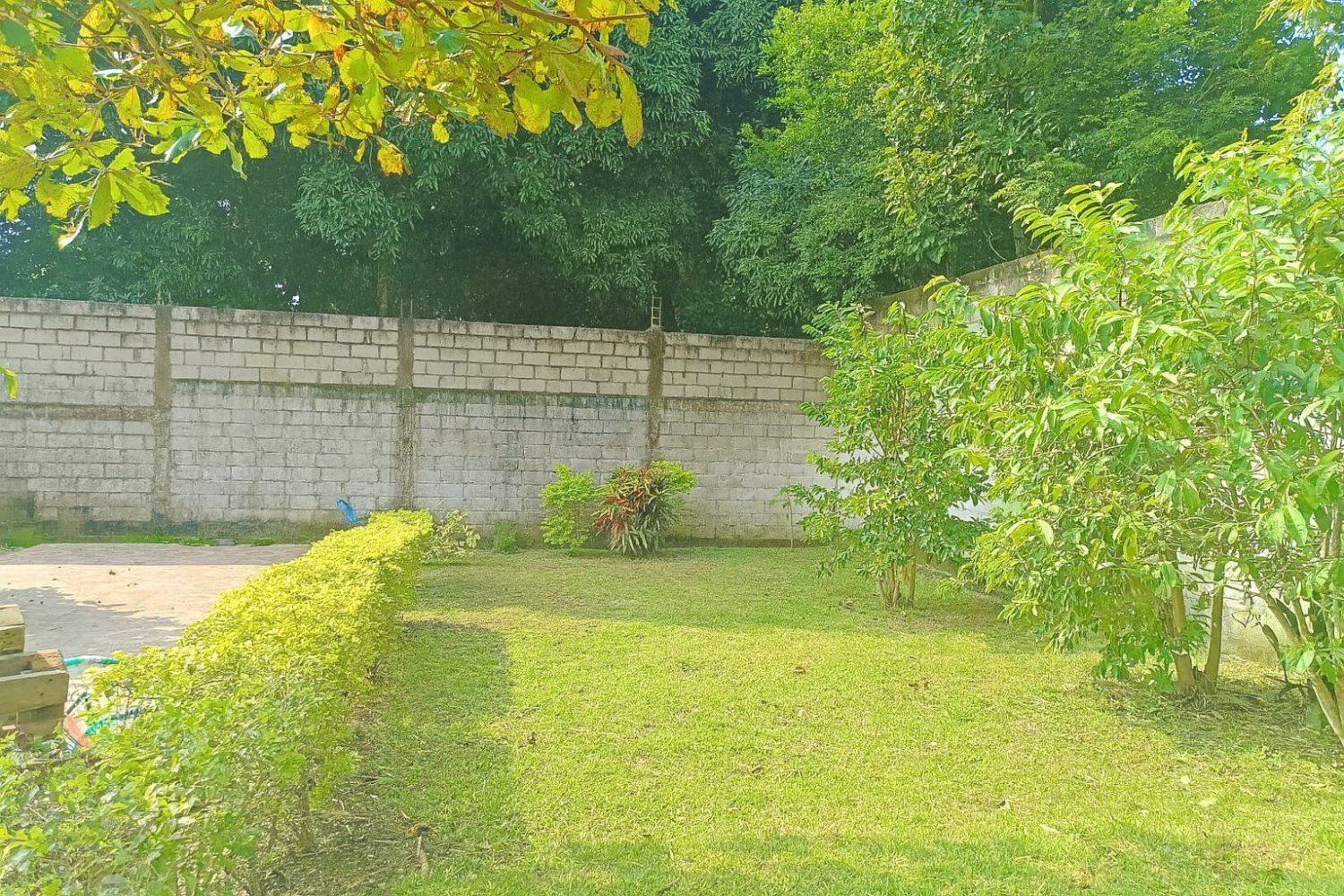 En venta Terreno Amplio en Col. Rafael Hernández Ochoa en Catemaco - Image 2