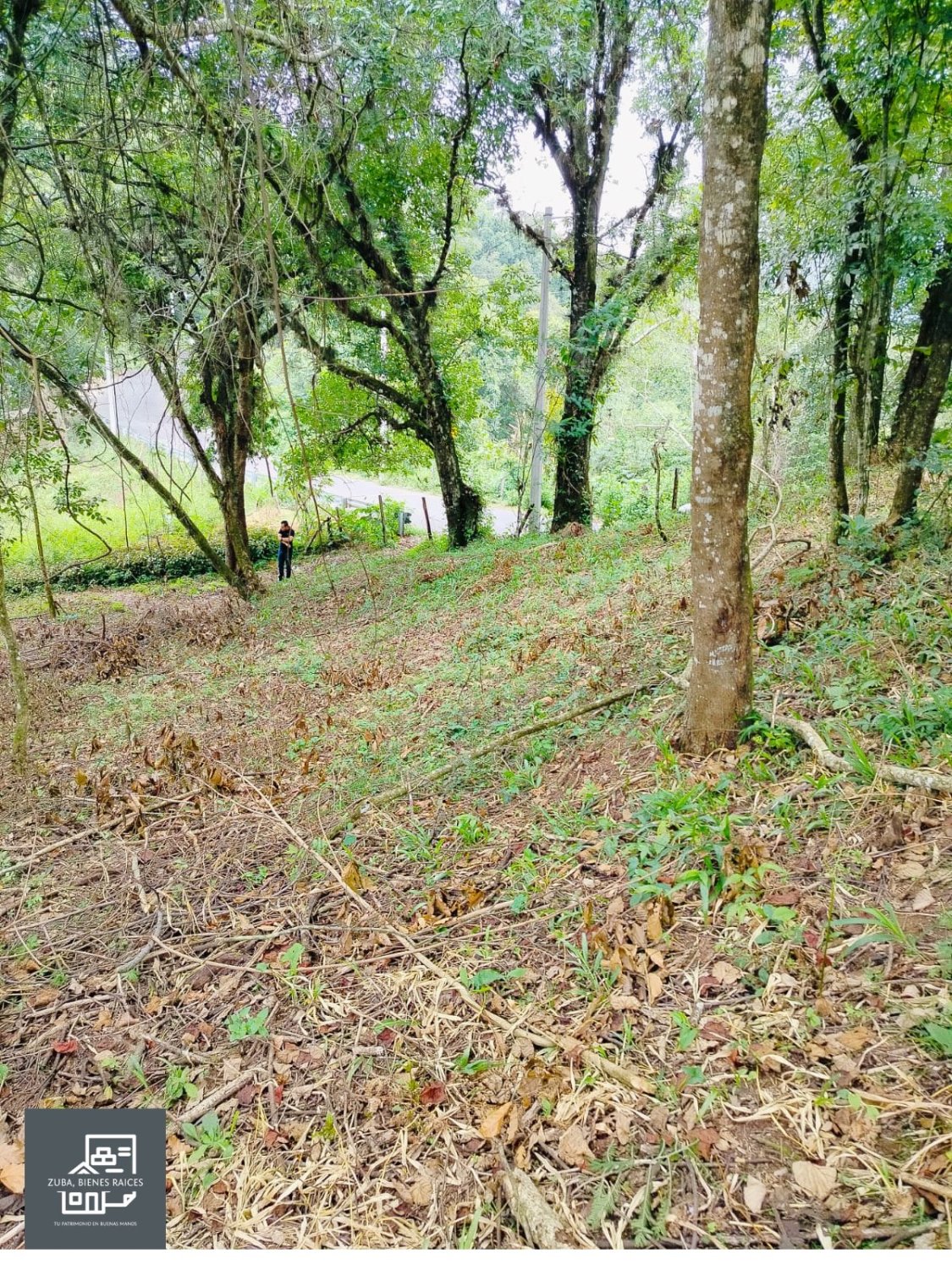 Terreno en Tlalnelhuayocan, Veracruz - Image 4