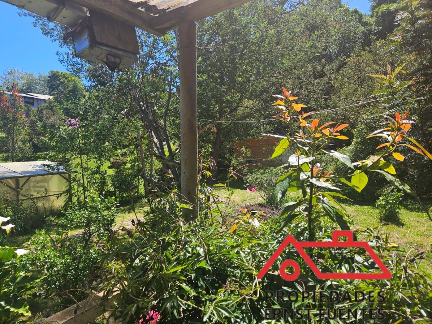 Venta en Los Molinos, Valdivia, amplio terreno y cabaña. - Image 12