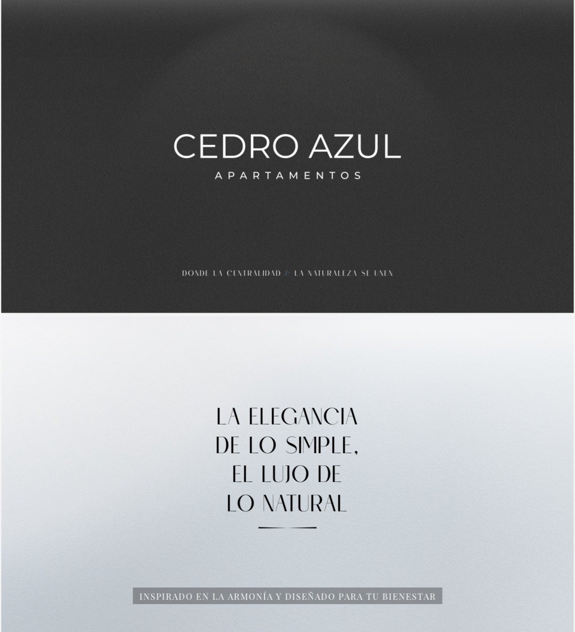 Cedro nuevo Proyecto inmobiliario  — 9