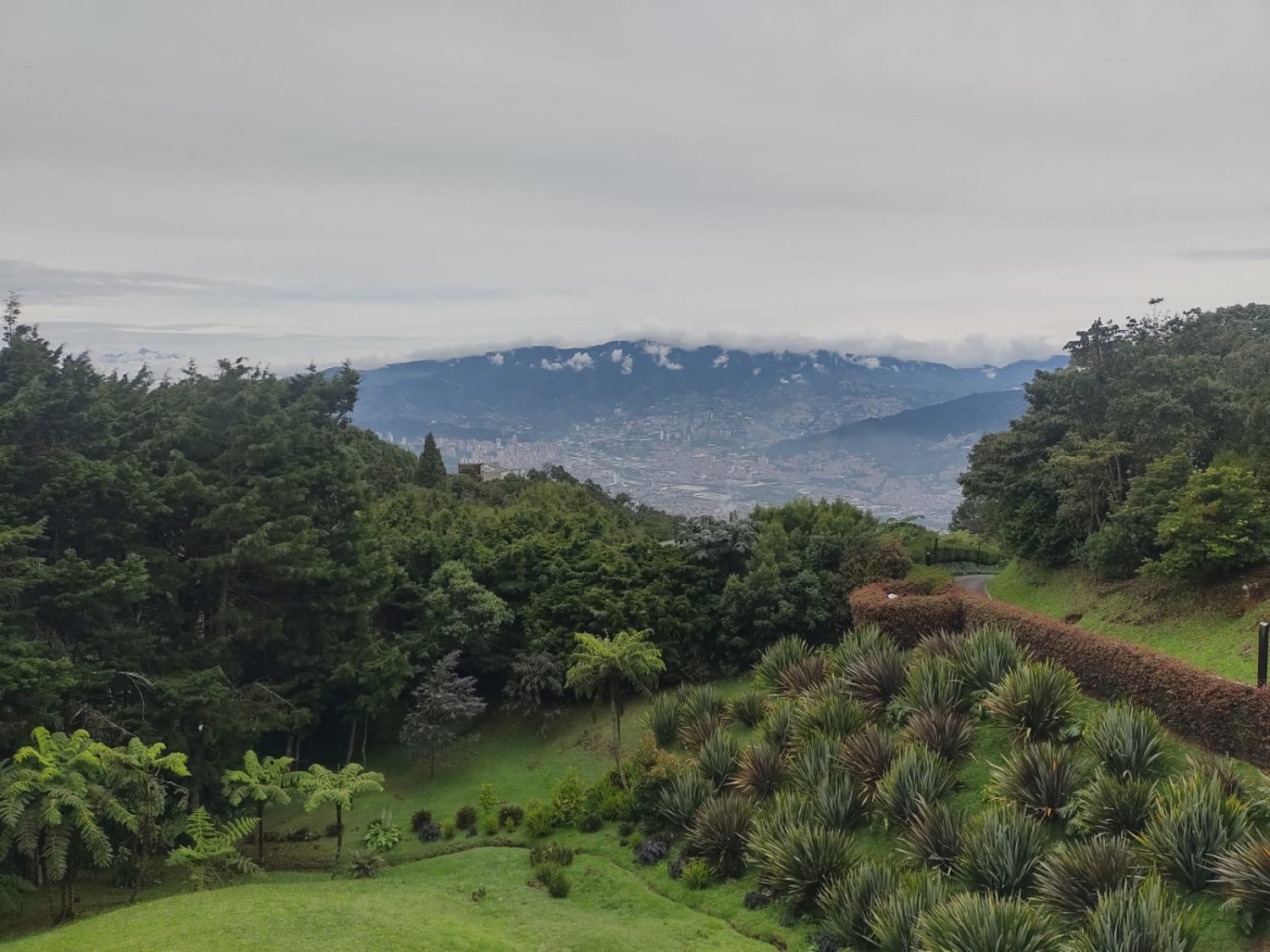 Gran casa de lujo en venta en el sector del poblado ( las palmas ) 
