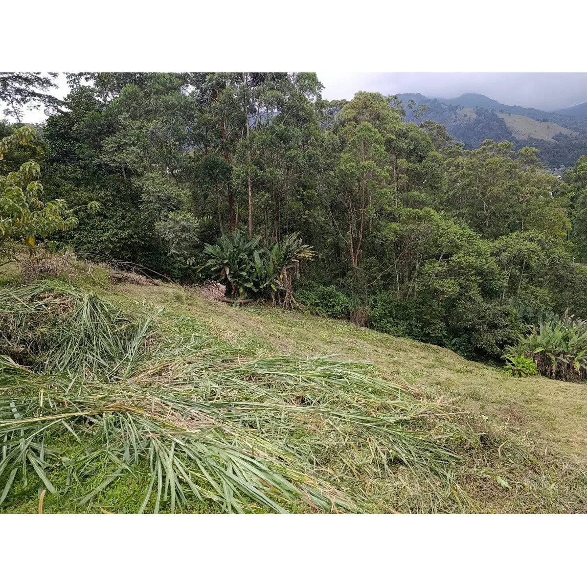 Lote en venta en una de las zonas más exclusivas del poblado  — 3