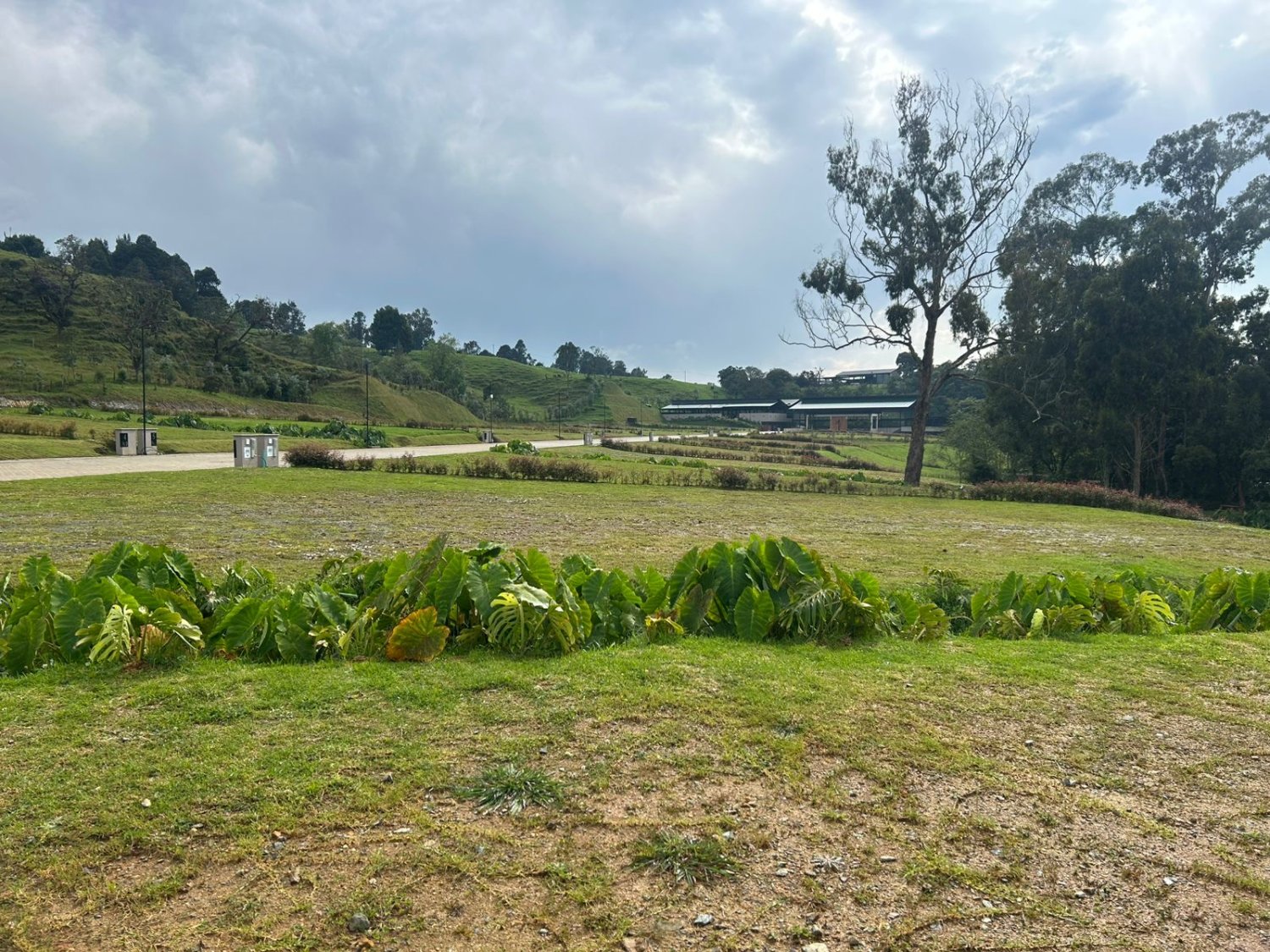 Exclusivo lote en las palmada en Venta  - Image 14