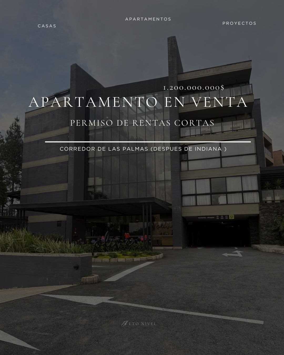 Las palmas (Olive) - Image 1