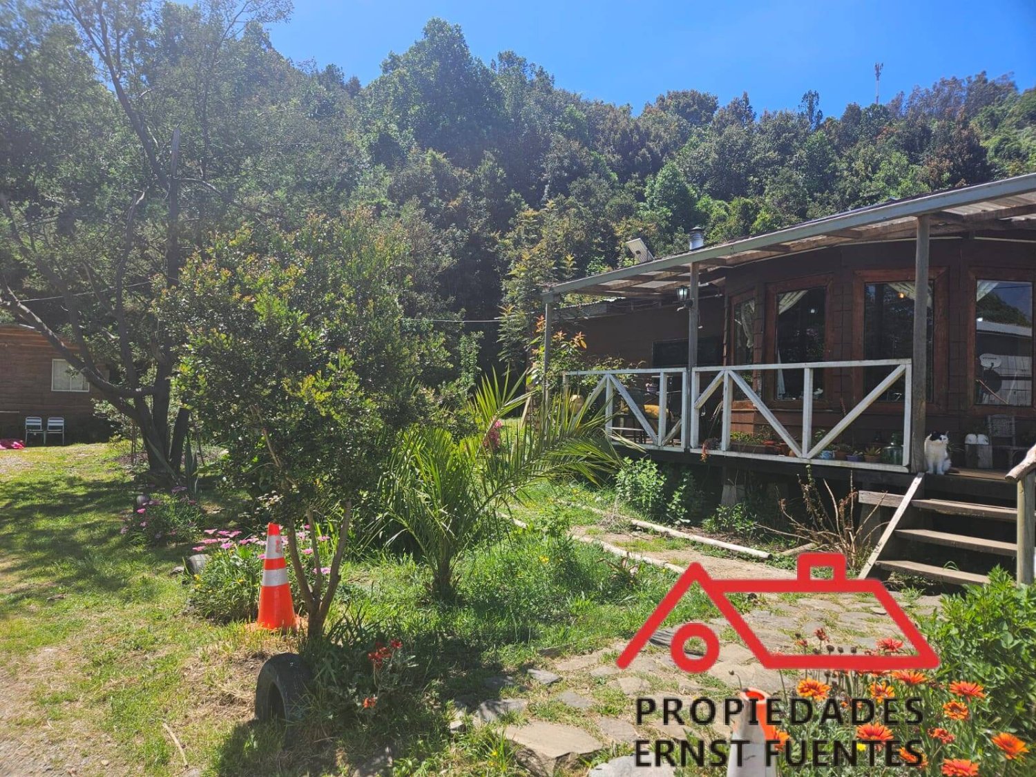 Venta en Los Molinos, Valdivia, amplio terreno y cabaña. - Image 8