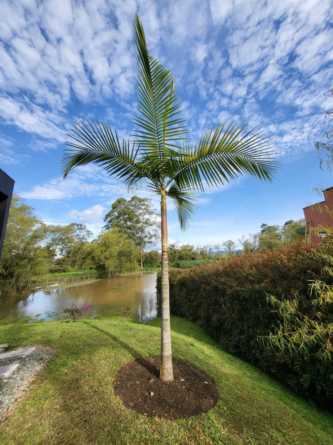 Exclusiva Casa con vista al lago en el sector del Oriente (Llano grande) - Image 21