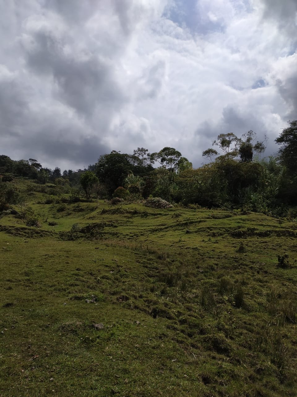 Exclusivo Lote para inversiones ideal para desarrollo inmobiliario con accesos a represa  — 4