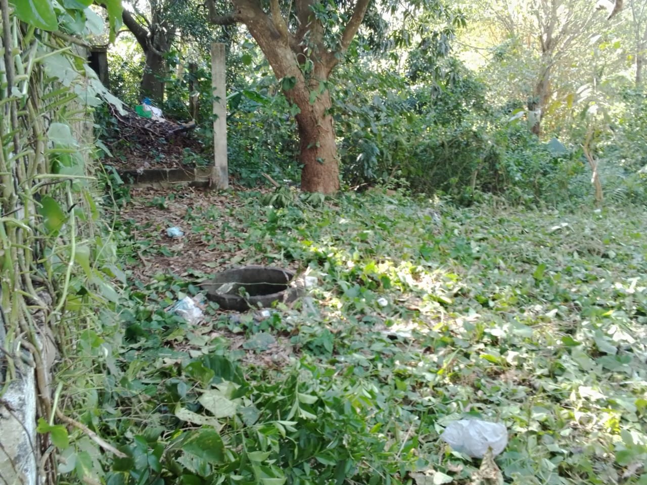 Terreno en Calle Independencia, Ángel R. Cabada Ver - Image 6