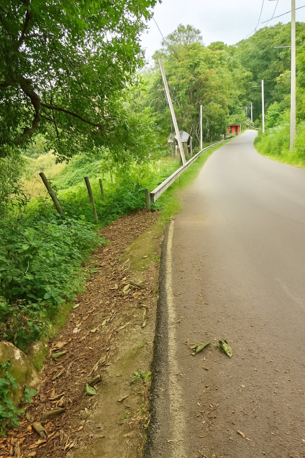 Terreno en Tlalnelhuayocan, Veracruz - Image 5