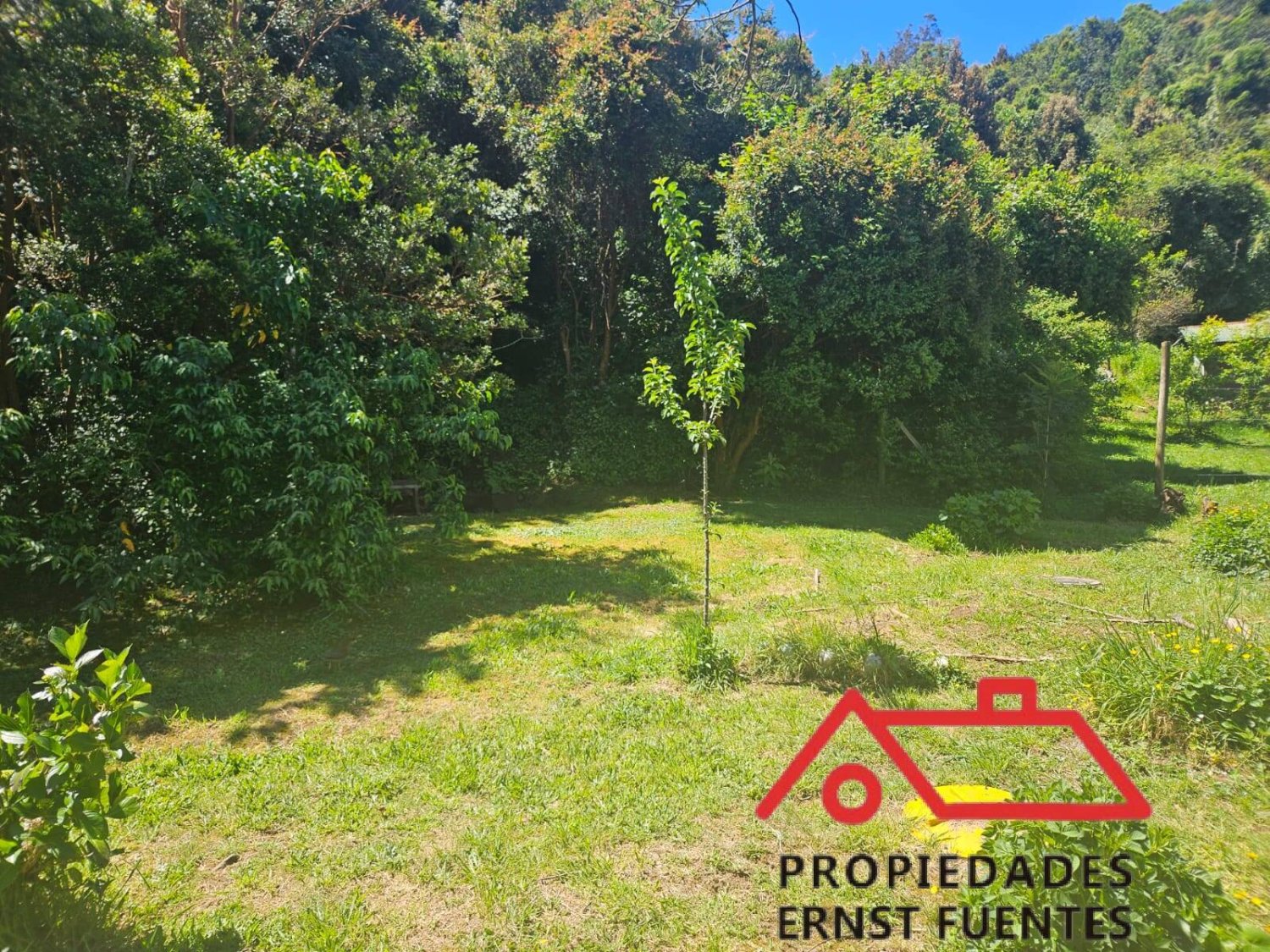 Venta en Los Molinos, Valdivia, amplio terreno y cabaña. - Image 10