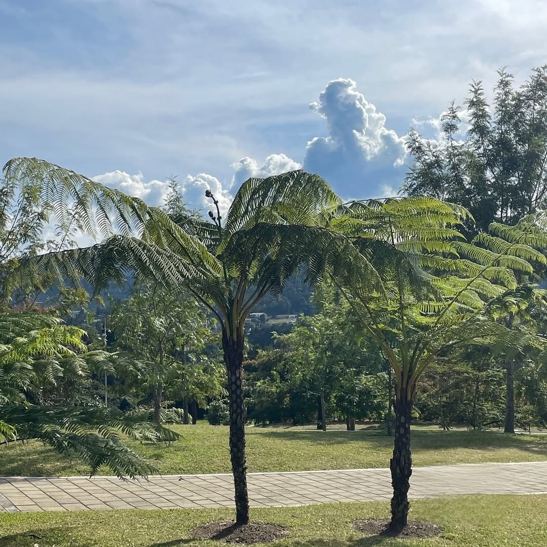 Exclusiva casa en Renta y venta  - Image 7