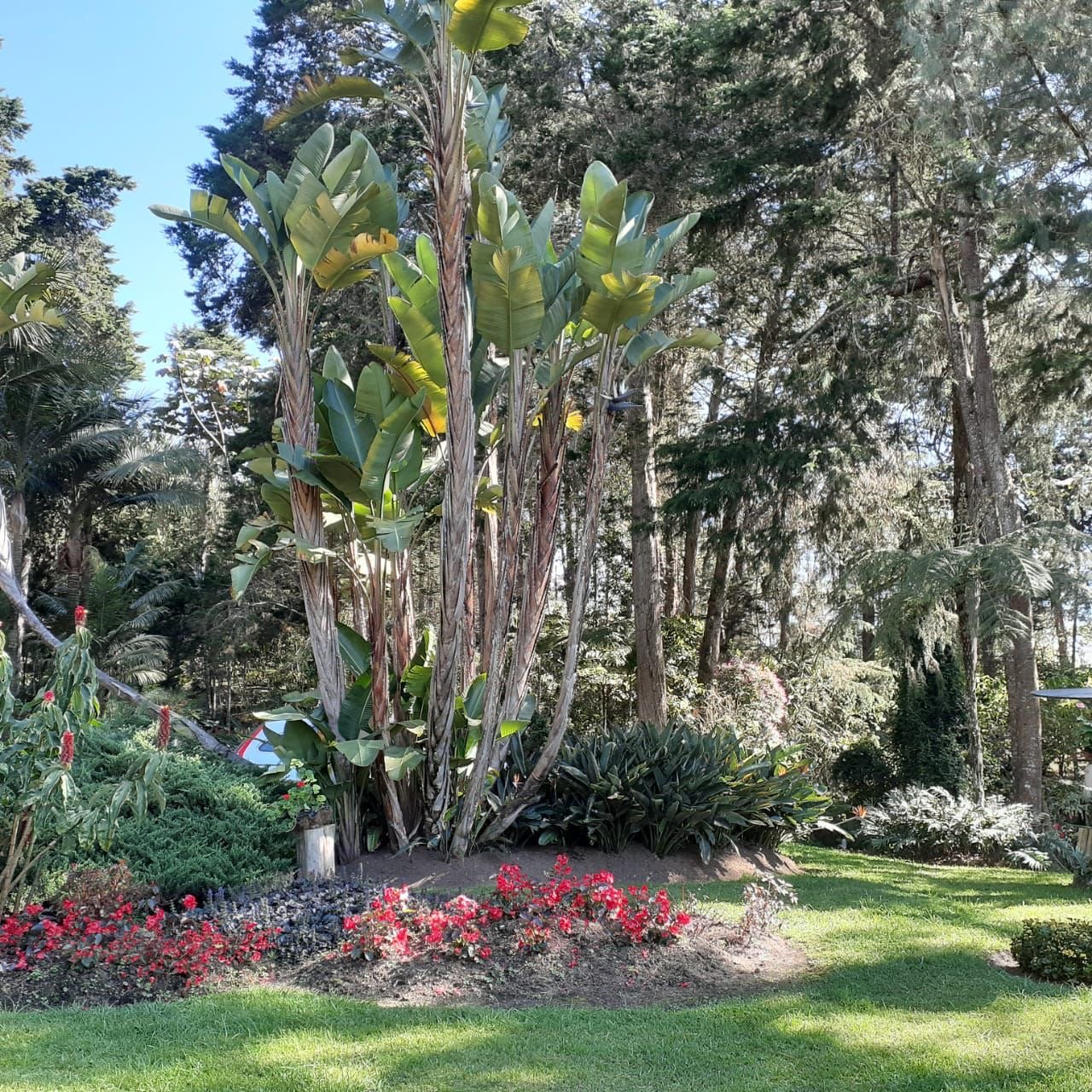 Exclusiva Casa campestre en venta con Bosque privado  — 4