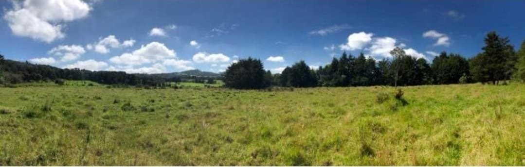 Exclusivo lote en meritage en Venta en las palmas  — 2