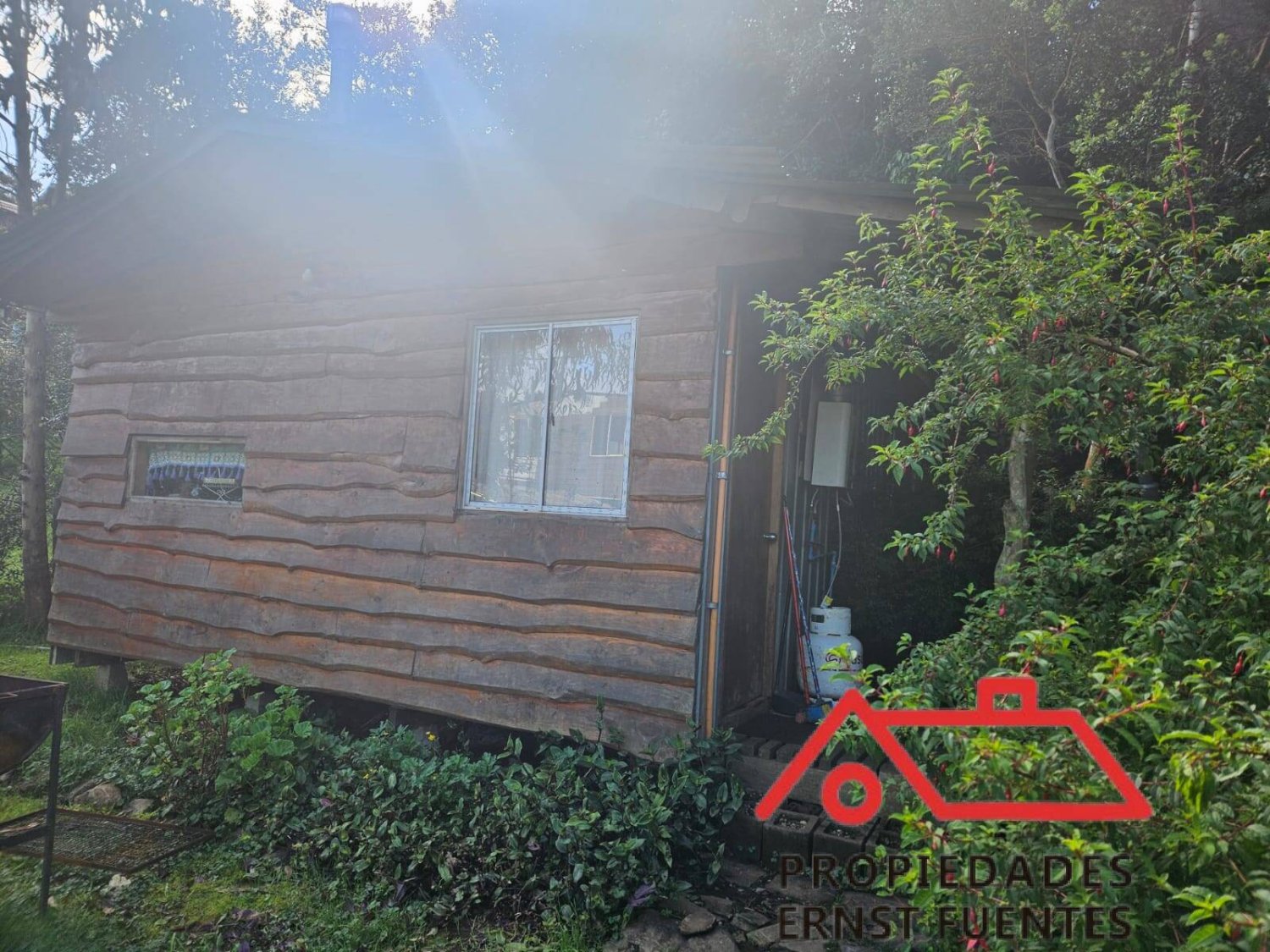 Venta en Los Molinos, Valdivia, amplio terreno y cabaña. - Image 14