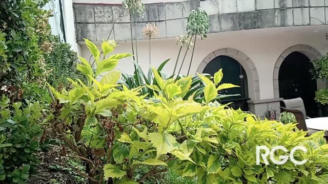 Acompañamiento Fiscal en Inversiones Inmobiliarias - Image 1