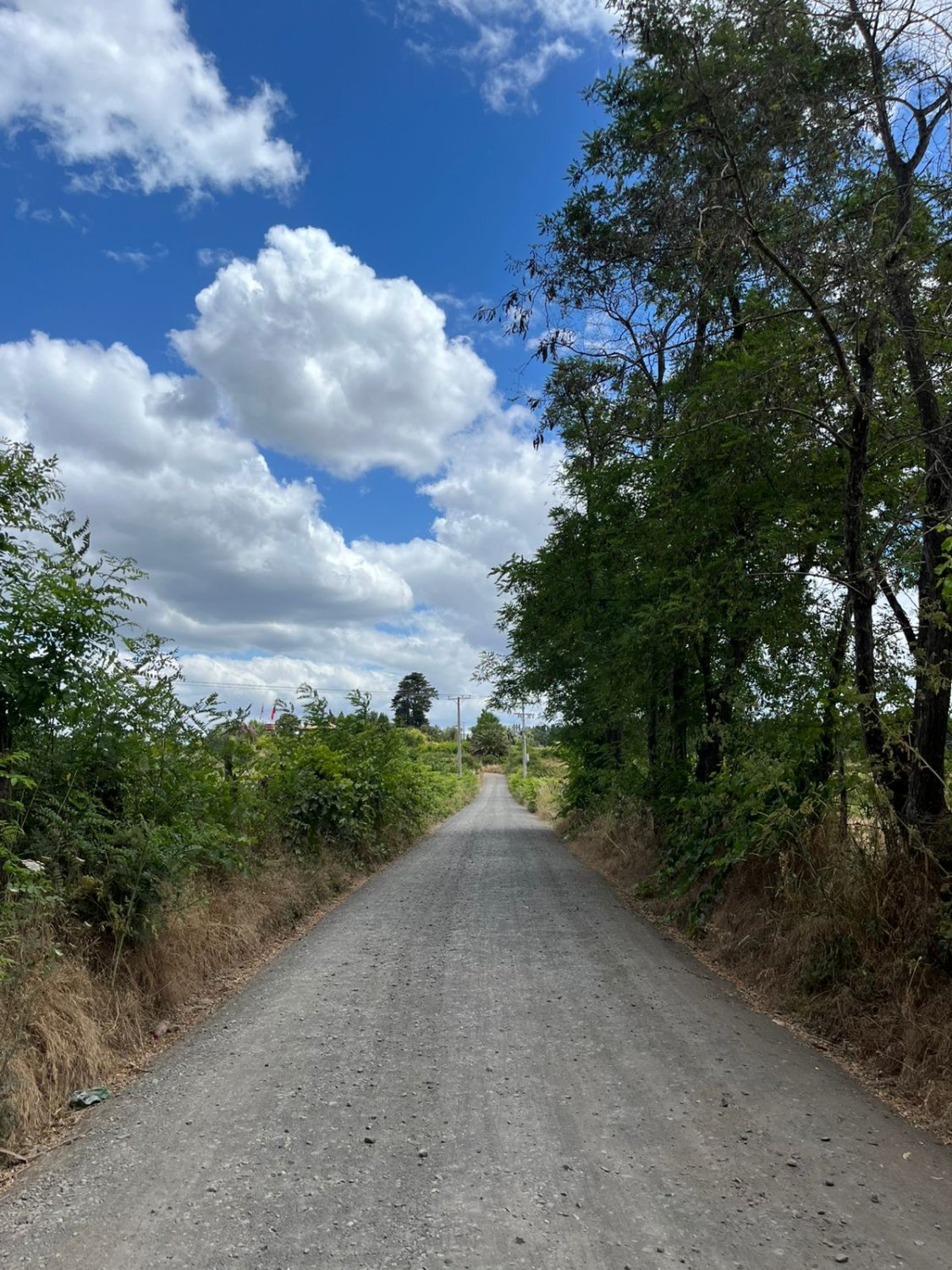 Parcela soñada Camino a Huape - Vista Privilegiada - Image 14