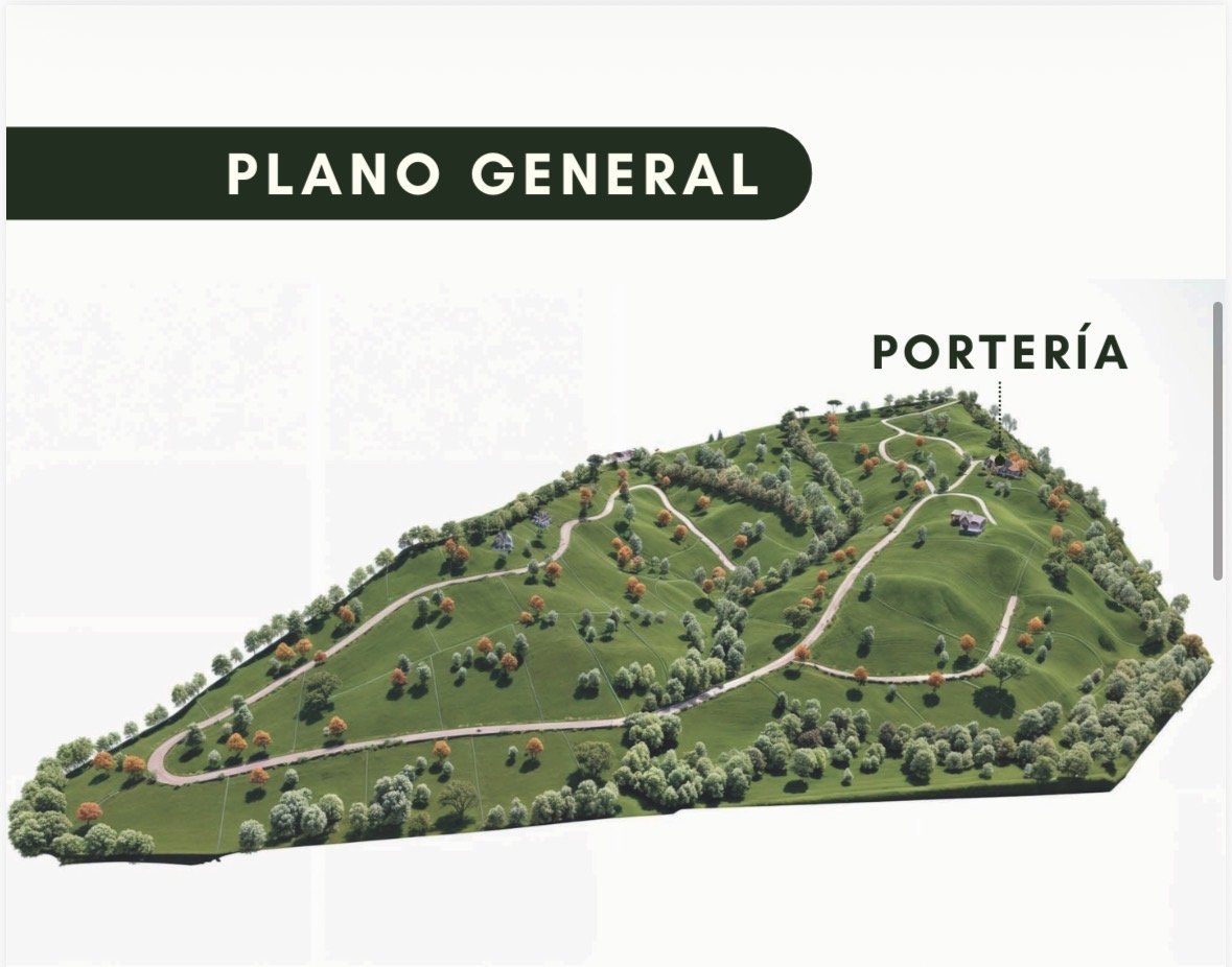Natura living (Proyecto lotes )  — 5