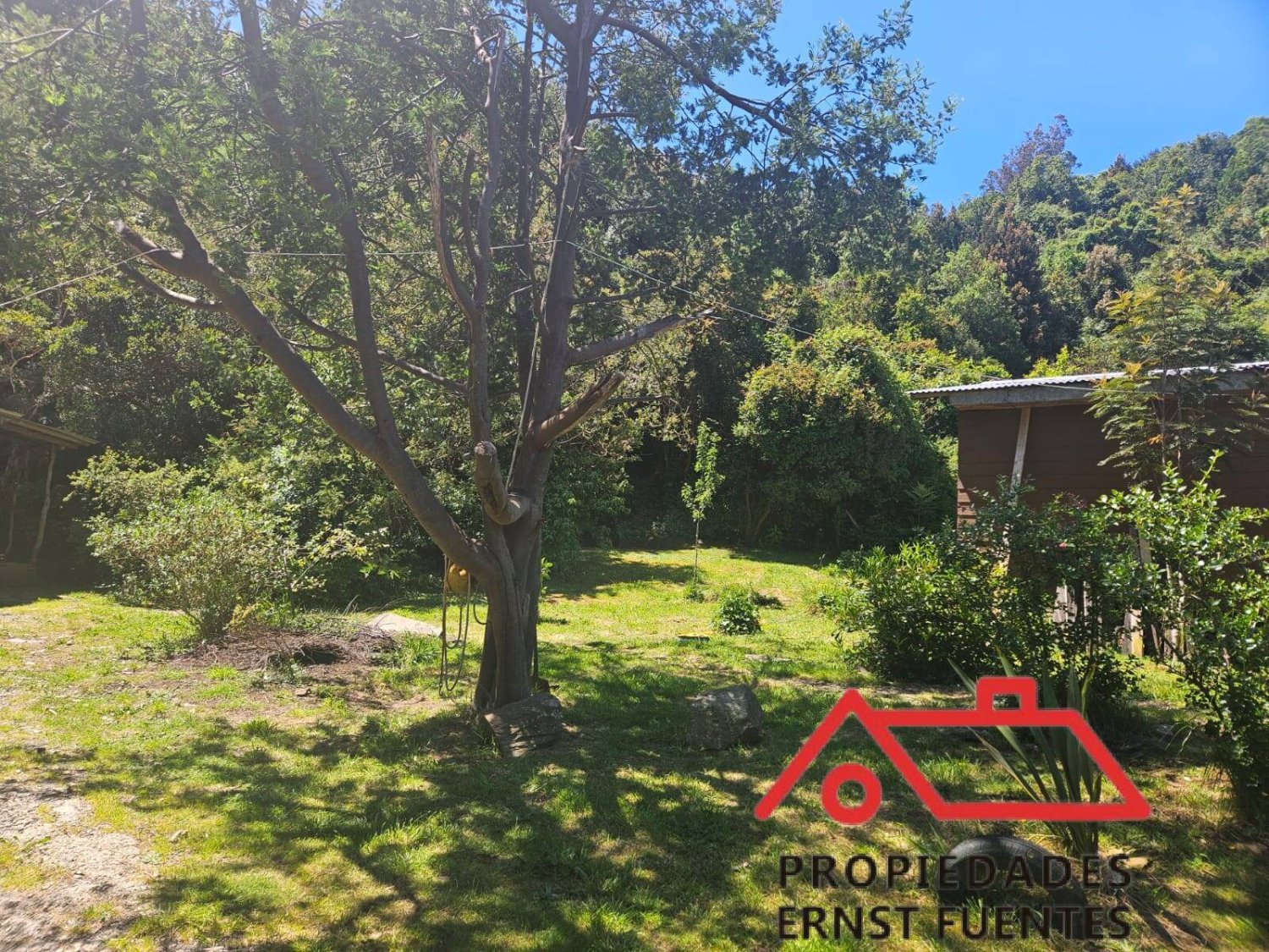 Venta en Los Molinos, Valdivia, amplio terreno y cabaña. - Image 15