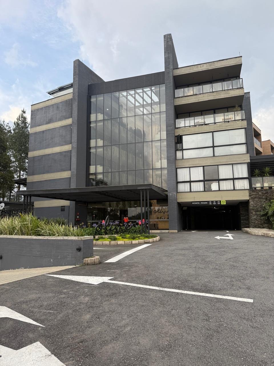 Las palmas (Olive) - Image 16