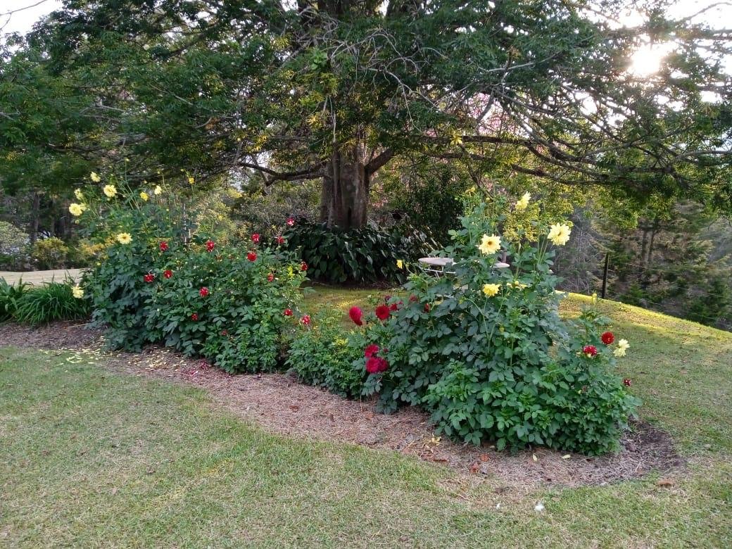 Casa Campestre en Fizebad Con Gran Lote - Image 10