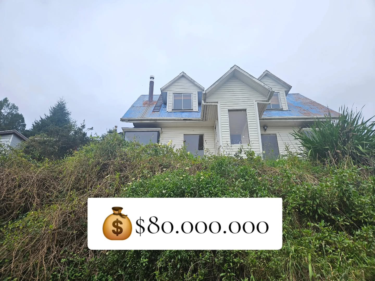 Casa de Playa en Los Molinos,  costa valdiviana  - Image 6