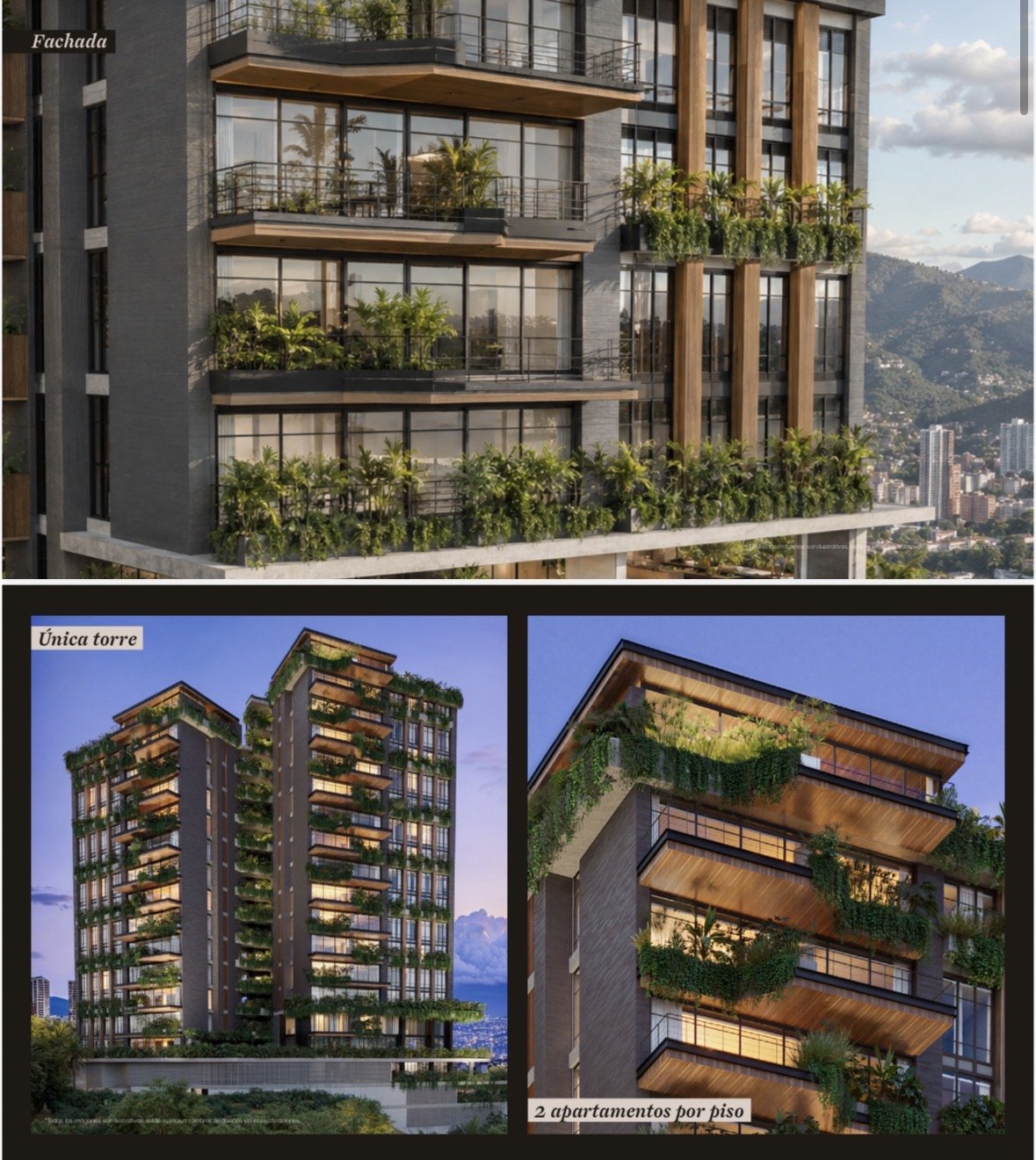 Ferro Proyecto Asociativo  — 5