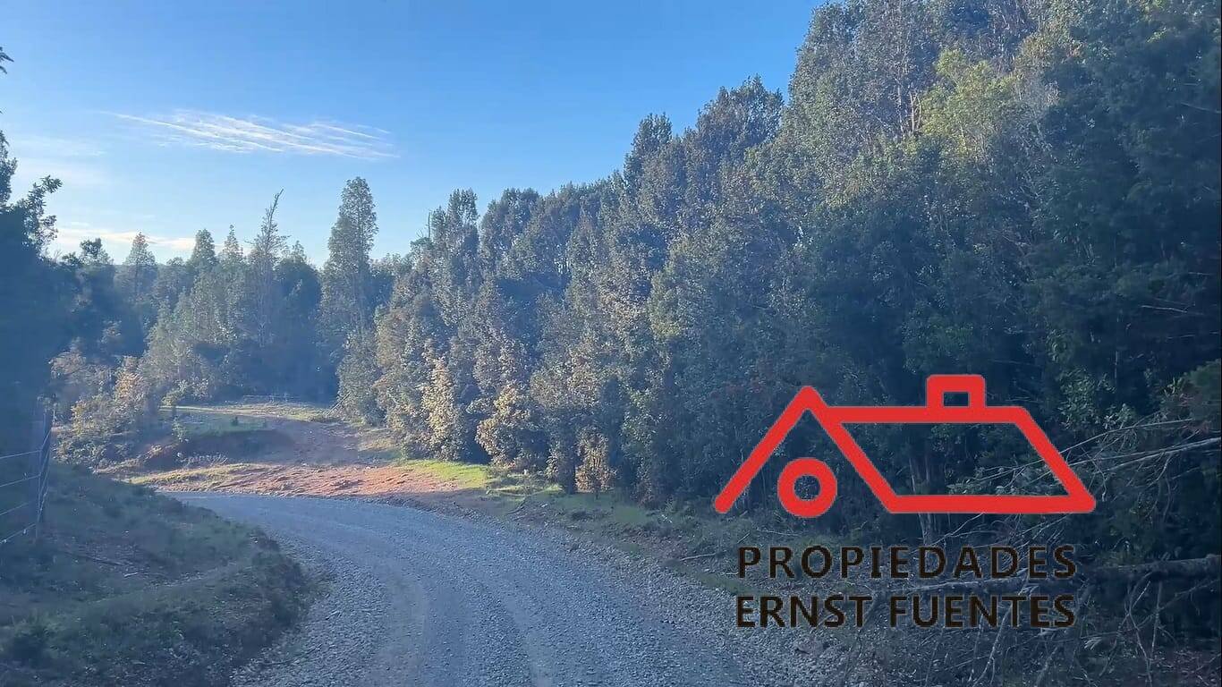 Tres Chiflones, Campo en venta en Valdivia - Image 1