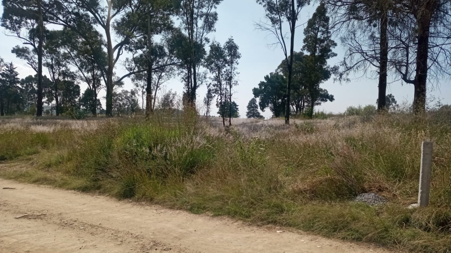 VENDO TODO O EN PARTES. TERRENO PLANO CON SERVICIOS A PIE DE CALLE - Image 5