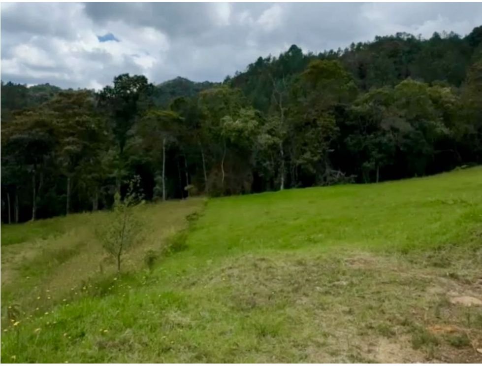 Lote disponible en venta en Vibra alto de las palmas  — 5