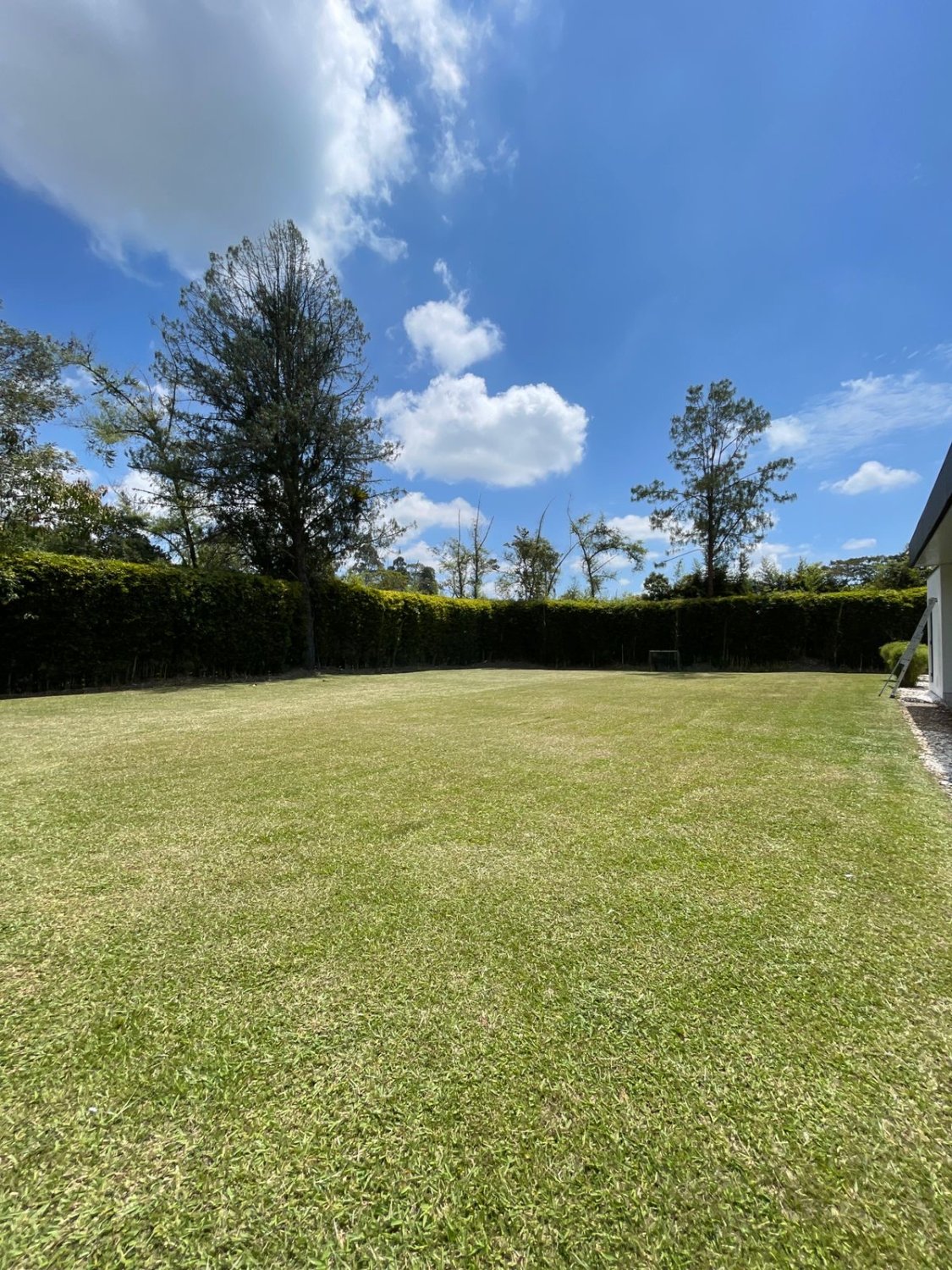 Exclusivos casa en Renta Amoblada  - Image 22