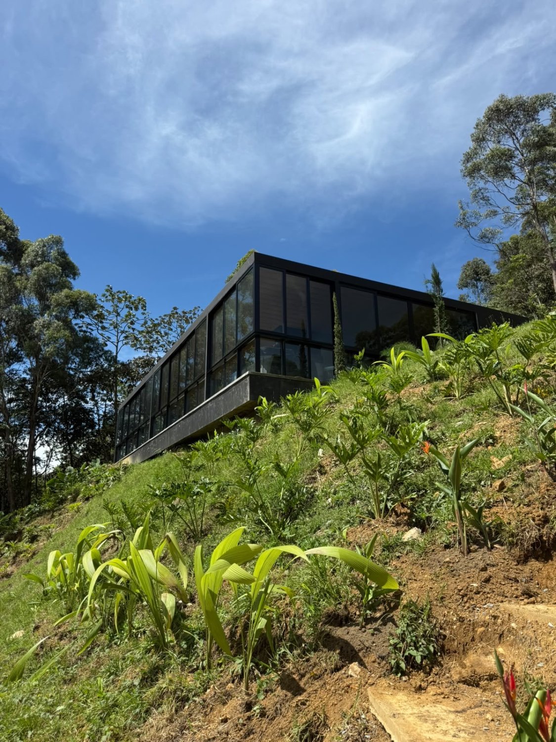 Exclusiva casa en Renta con vista a la ciudad ubicada en las palmas  - Image 2