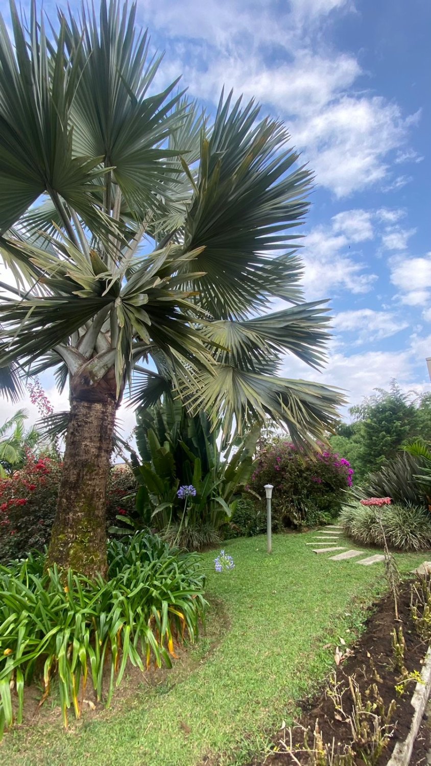 Casa campestre en Venta en el sector de envigado (City plaza) - Image 16