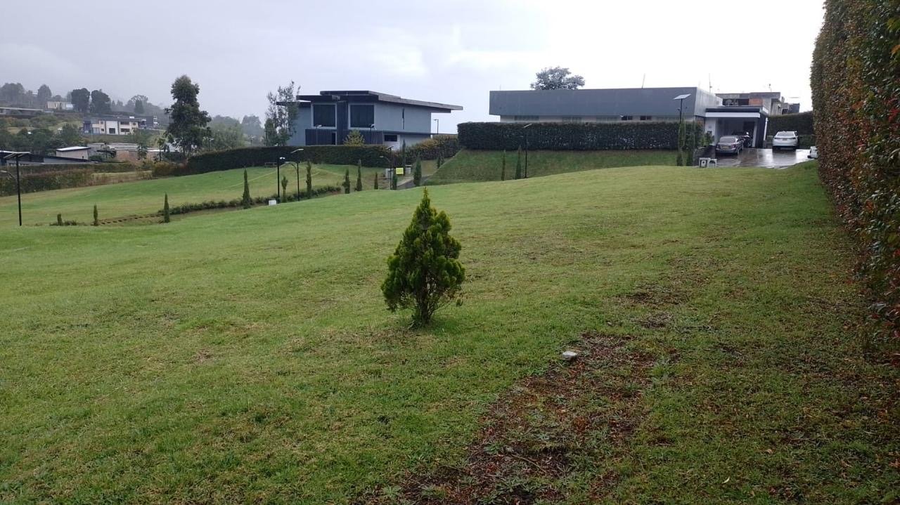 Amplio lote para desarrollar proyecto de vivienda en venta (Las palmas)  - Image 6