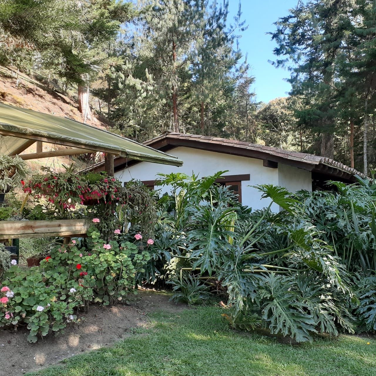 Exclusiva Casa campestre en venta con Bosque privado  — 13