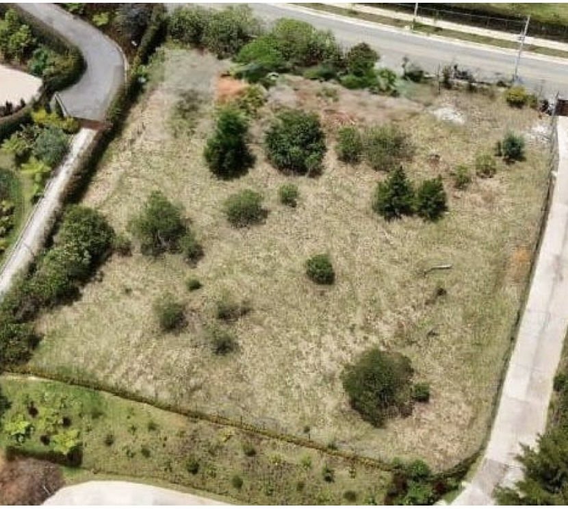 Lote independiente en las Ventas en el Alto de las palmas  — 1