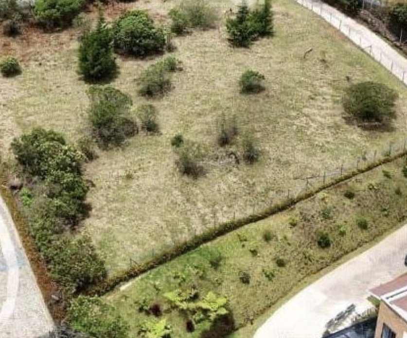 Lote independiente en las Ventas en el Alto de las palmas  — 2