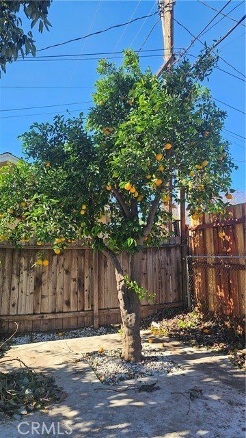 Modern ADU in Lake Balboa Across from Dog Park! - Image 6