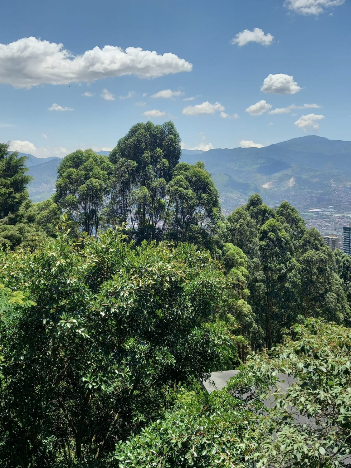 Casa Campestre en Venta (Mirador de Santa Catalina ) - Image 6
