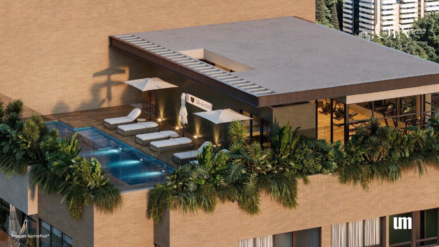 mede Gin Proyecto sobre planos  - Image 10