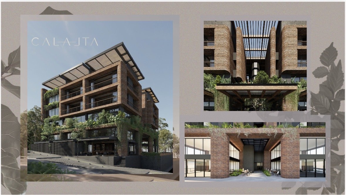 Calalta las palmas proyecto inmobiliariob — 5