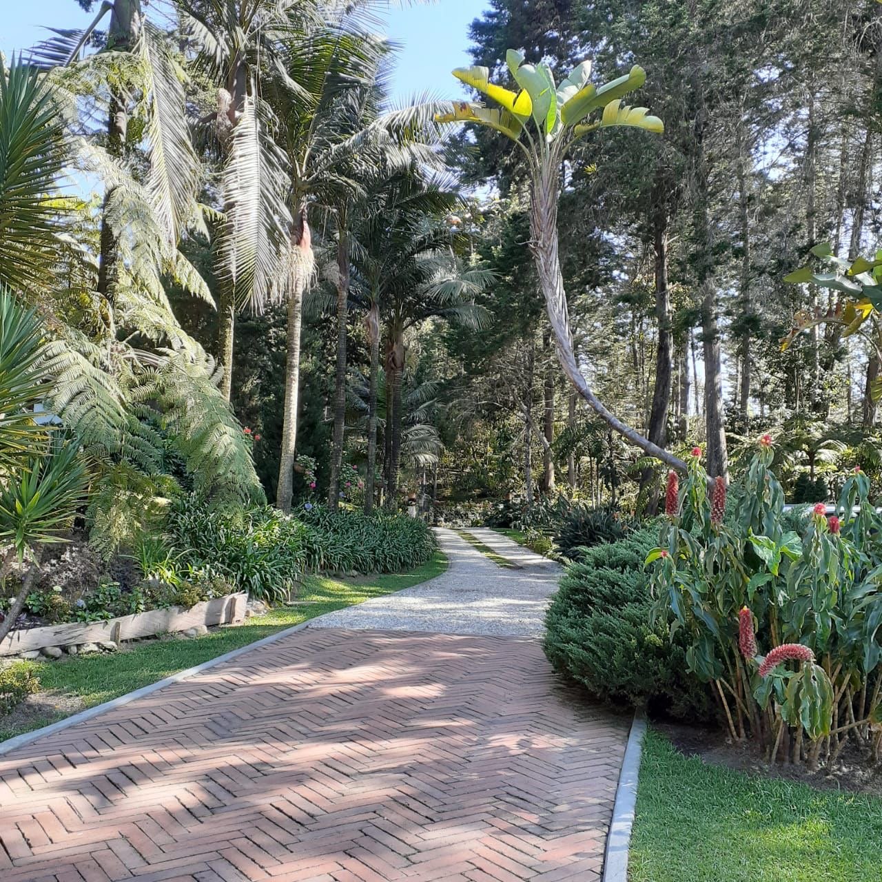 Exclusiva Casa campestre en venta con Bosque privado  — 15
