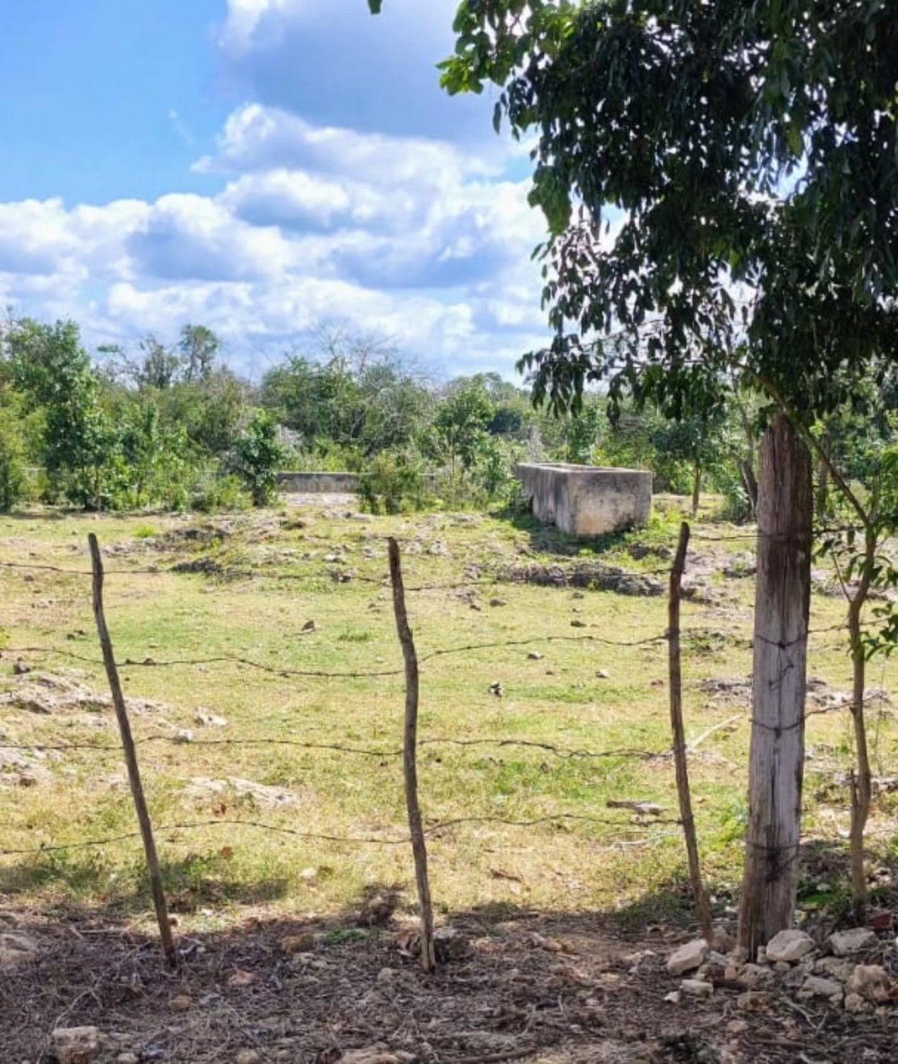 Inversión Exclusiva en la Península de Yucatán - Image 3