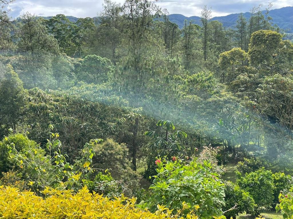 Se vende Exclusiva casa Campestre  - Image 10