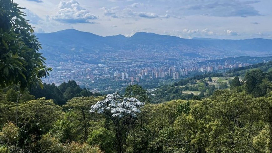 Exclusiva casa de un solo nivel en Renta amoblado  — 16